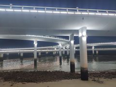 -演武大桥观景平台