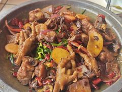 -重庆金爪爪特色干锅(大竹林直营店)