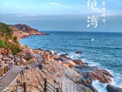 -广东惠东海龟国家级自然保护区