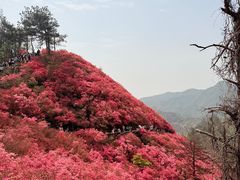 -木兰云雾山