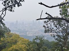 -紫金山山顶公园