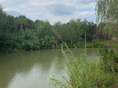 -南湖湿地公园