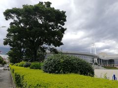 -大理国际奥林匹克体育中心