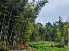-石塘人家