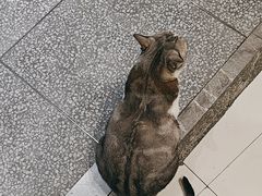 -谜盒子奇幻密室(南屏店)