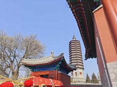 -西海子公园