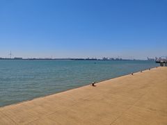 -东疆建设开发纪念公园