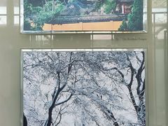 -苏州园林博物馆