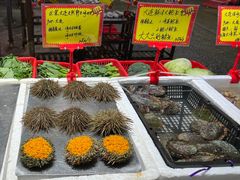 -蚝专家(北滘店)