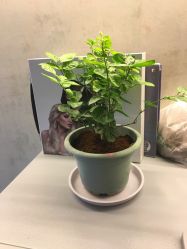 -MOKA HAIR SALON 烫染造型