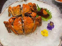 特级阳澄湖大闸蟹-杭州西子湖四季酒店·金沙厅