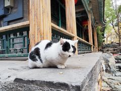 -恭王府博物馆