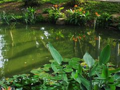 -人民公园(罗湖区)