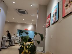 -洗脸猫·洗脸吧