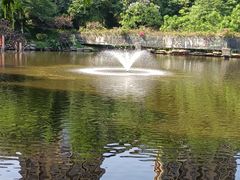 -重庆彩云湖湿地公园