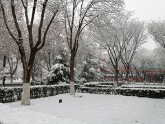 -北京工业大学-羽毛球馆