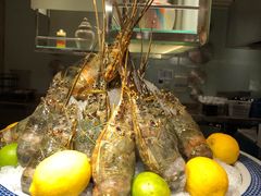 -索菲特酒店·海鲜自助 ·聚餐厅