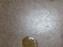 -美联众合动物医院·24h京西诊疗中心