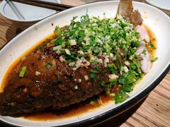 香辣炝锅鱼-树厨贵州菜(大十字店)