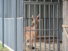 -洪湖家庭农场·团建·露营·会议