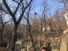 -石老人观光园