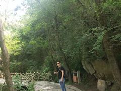 -王顺山国家森林公园