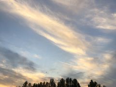 -安德鲁户外烧烤帐篷营地(马泉营店)