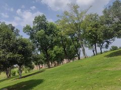 -盘龙城国家考古遗址公园