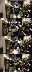 点击看大图 -KS COLOUR漂色·染发·画染