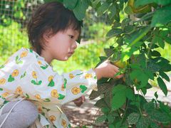 -前小桔亲子创意农场·草莓采摘·露营烧烤
