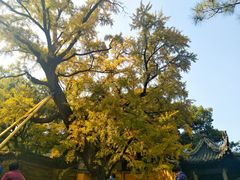 -无锡惠山寺