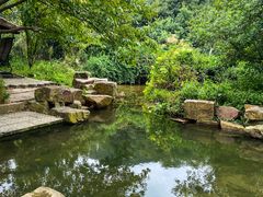 -树山生态村