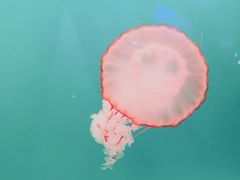 -华夏文旅西安度假区