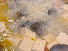 -草墩罗非鱼庄•野生菌•腊排骨(七星街上段店)