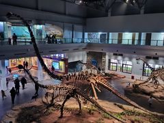-自贡恐龙博物馆