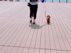 -东疆建设开发纪念公园