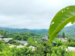 -桃源山庄·水蜜桃采摘·柴火鸡·烧烤团建(龙泉山店)