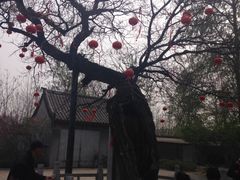 -杨家埠民间艺术大观园