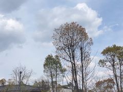 -刘伯温故里景区百丈漈