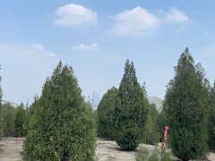 -龙洞风景区-藏龙涧