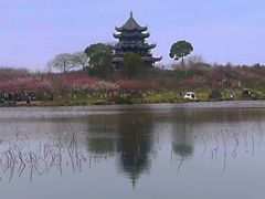 -上海海湾国家森林公园