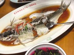 -丹江渔村(望京店)