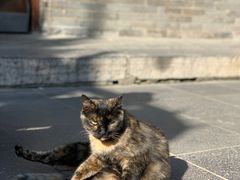 -万寿八仙宫