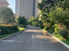 -碧桂园十里银滩