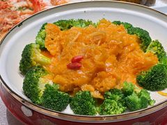 酸辣广肚-解家河南菜(金水路店)