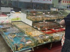 -广东名门