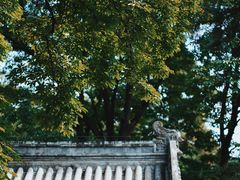 -潭柘寺景区