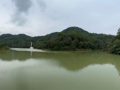 -广州白江湖森林公园