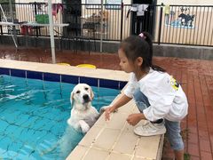 -趣玩宠物乐园寄养训犬训狗游泳池
