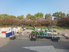 -雪绒花路停车场